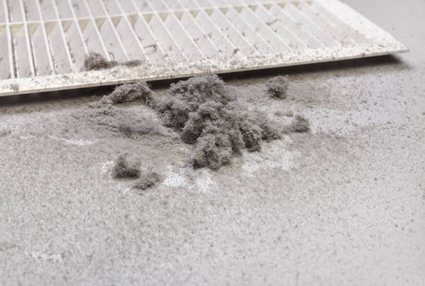 Best HVAC Duct Inspection Services  in Newton Falls, OH