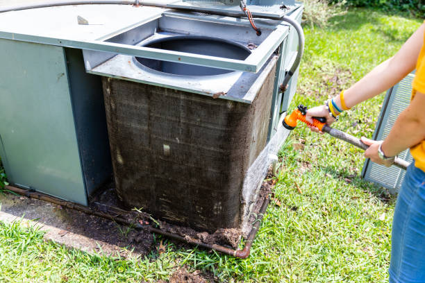 Best Affordable Duct Cleaning Services  in Newton Falls, OH