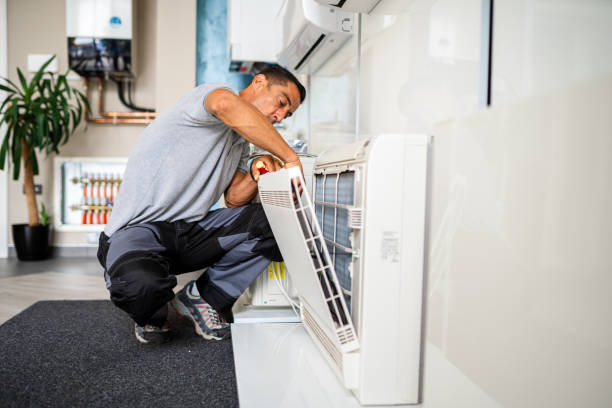 Best Air Duct Sanitizing Services  in Newton Falls, OH
