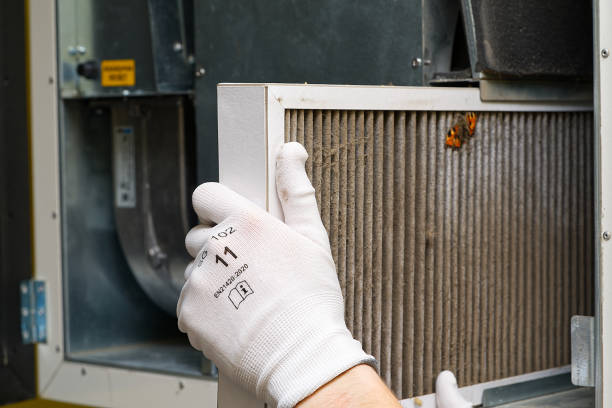 Best Air Vent Cleaning Services  in Newton Falls, OH