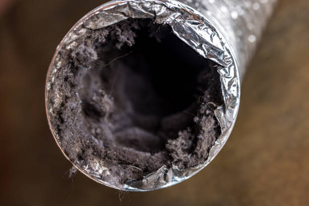 Best HVAC Air Duct Cleaning  in Newton Falls, OH