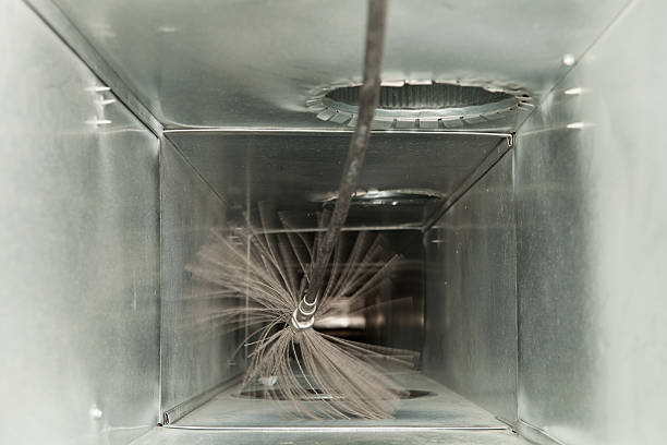 Best Dryer Vent Cleaning Services  in Newton Falls, OH