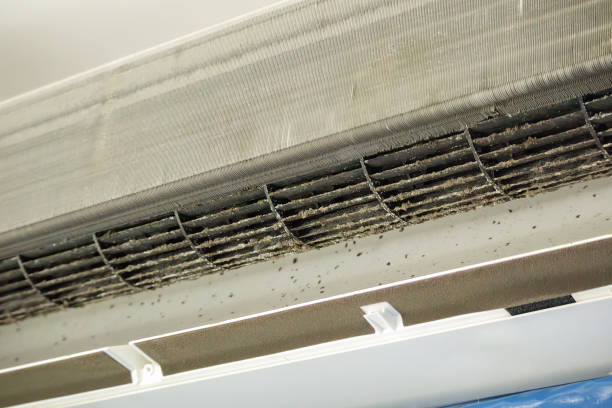 Best Air Duct Cleaning Near Me  in Newton Falls, OH