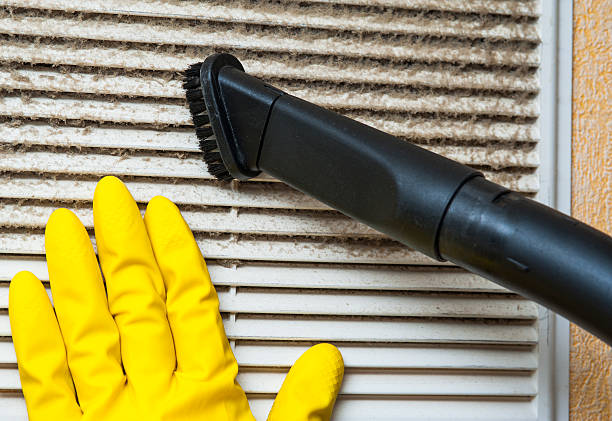 Best Dryer Vent Cleaning Services  in Newton Falls, OH